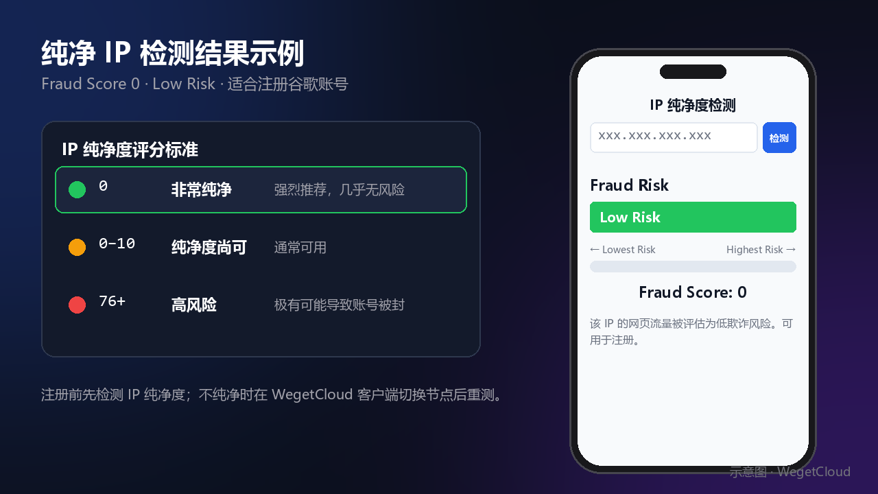 IP 纯净度检测结果显示低风险
